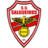 SC Salgueiros
