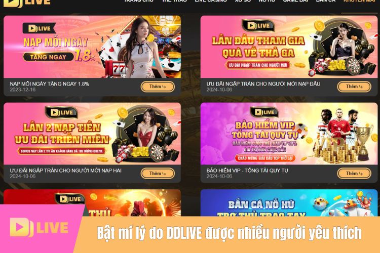 Bật mí lý do DDLIVE được nhiều người yêu thích tham gia