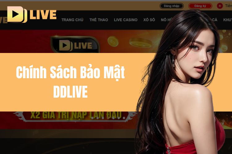 Chính sách bảo mật DDLIVE và những điều cần biết