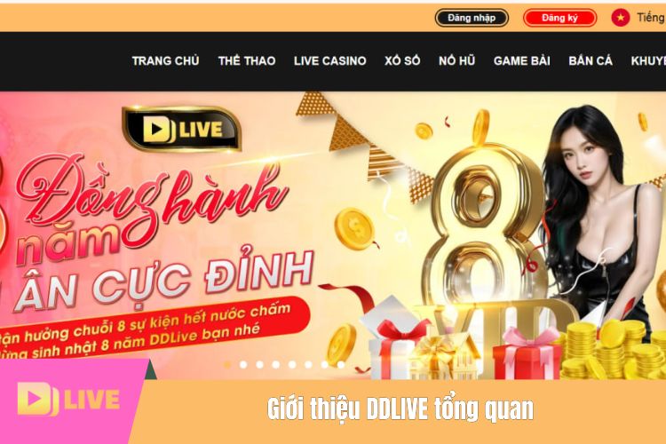 Giới thiệu DDLIVE tổng quan