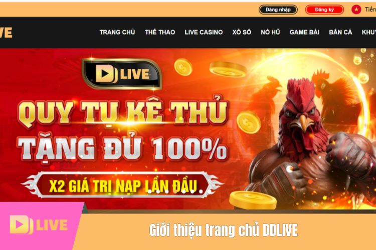 Giới thiệu trang chủ DDLIVE - Gái xinh nóng bỏng, cá cược hấp dẫn