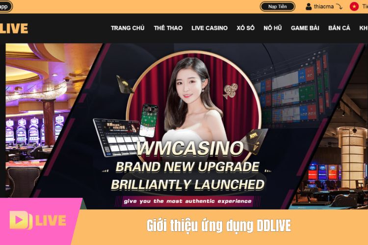 Giới thiệu ứng dụng DDLIVE