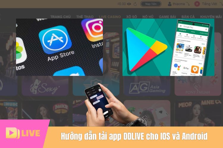 Hướng dẫn tải app DDLIVE cho IOS và Android