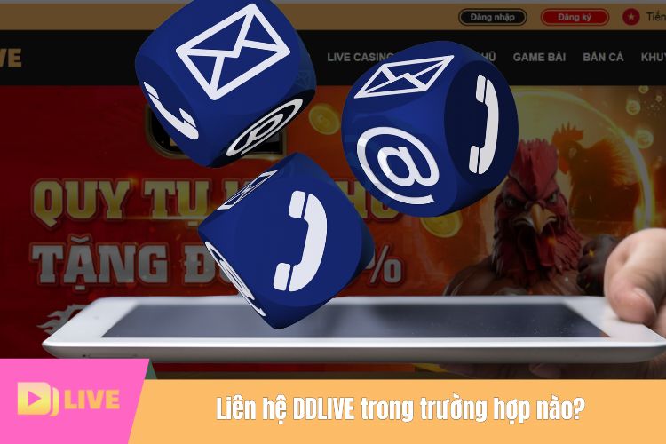 Liên hệ DDLIVE trong trường hợp nào?